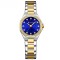 Curren 9100 Silver-Gold-Blue