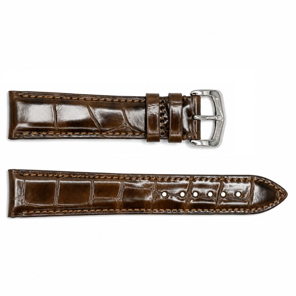 Ремешок для часов Ремешки для часов Лакированный Brown-Silver 20 мм (SKU 1051-1654)