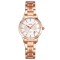 Skmei 1819RGSI Rose Gold-Silver STOPPED