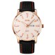 Мужские классические часы Skmei 9303RGSI Rose Gold-Silver с календарем и нейлоновым ремешком