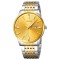 Skmei 9323TGDGD Silver/Gold-Gold STOPPED
