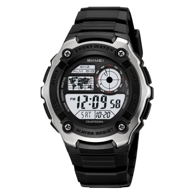 Skmei 2517SI Silver