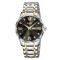 Skmei 9369TGDBK Gold-Black
