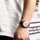 Мужские часы Pagani Design PD-1689 Gold-White-Brown с сапфировым стеклом и механизмом SEIKO VH65